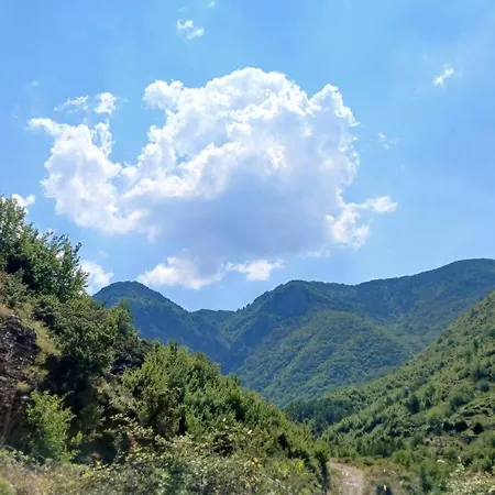 Bujtina Dalmacia 2 ゲストハウス Shkodër